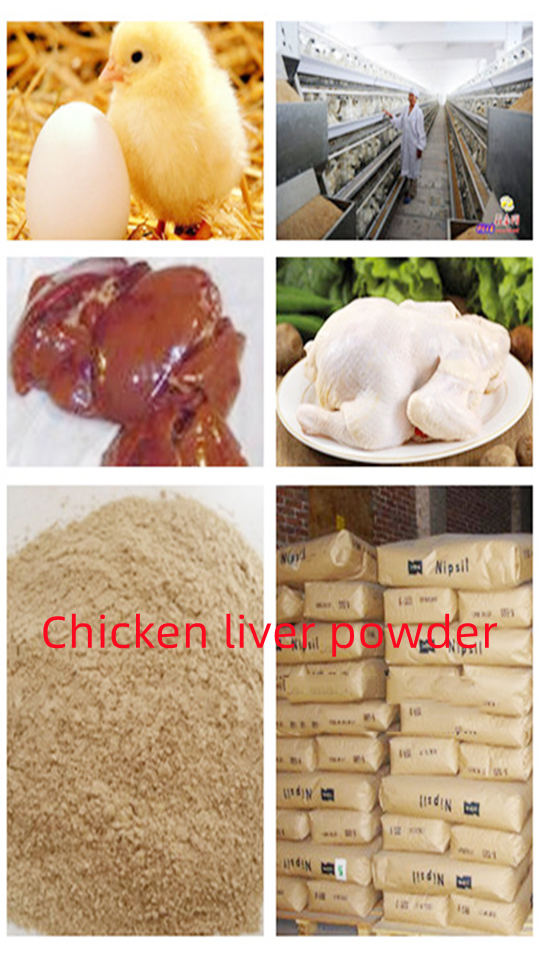 Hensin Industrial: Eight Years of Dedication, Rising as Asia’s Innovative Leader