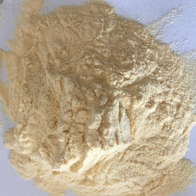 Chicken Meat Hydrolysate